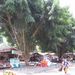 2005_indonesiatrip_094_2